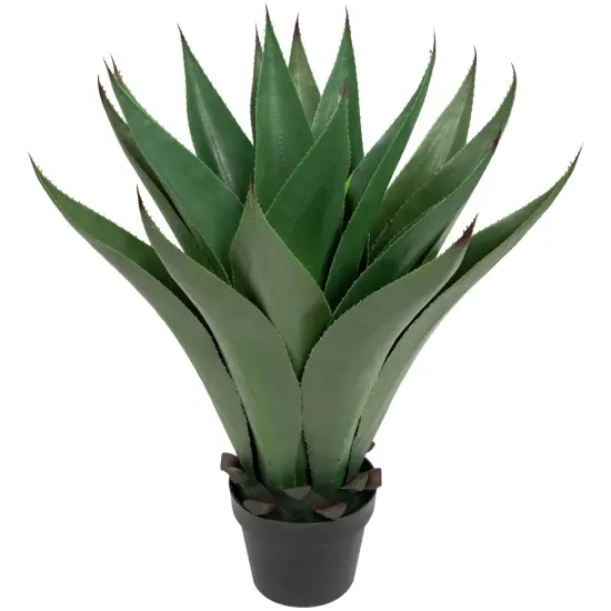 Northlight Real Touch&trade;️Artificial Agave Succulent Potted Plant - 26" Green {4}