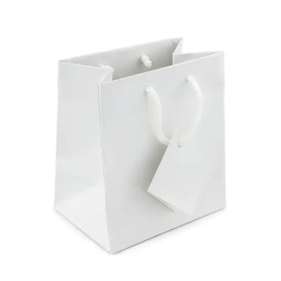Gift Bag Small Glossy White (Package of 20) {1}