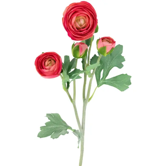 Northlight Real Touch&trade; Coral Pink Ranunculus Artificial Floral Sprays, Set of 6 - 21" {4}