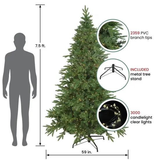 Northlight Real Touch&trade; Pre-Lit Artificial Birch River Fir Christmas Tree - 7.5' -Candlelight Clear Lights Green {4}