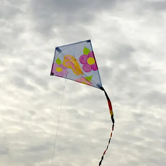 In the Breeze Coloring Diamond 20 Inch Kite - Single Line - Ripstop Fabric Kite - Includes Crayons, Kite Line and Bag - Creative Fun for Kids and Adults {3}