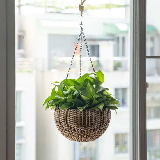 10" Self Watering Bronze Hanging Basket Flower Planter {5}