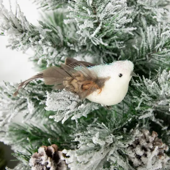 Northlight Bird with Clip and Feathers Christmas Ornament - 6" - White and Brown {3}