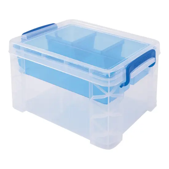 Divided Storage Box with Insert {1}