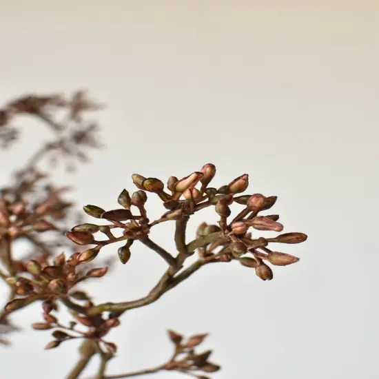 38" Faux Brown Sedum Berry Branch {3}