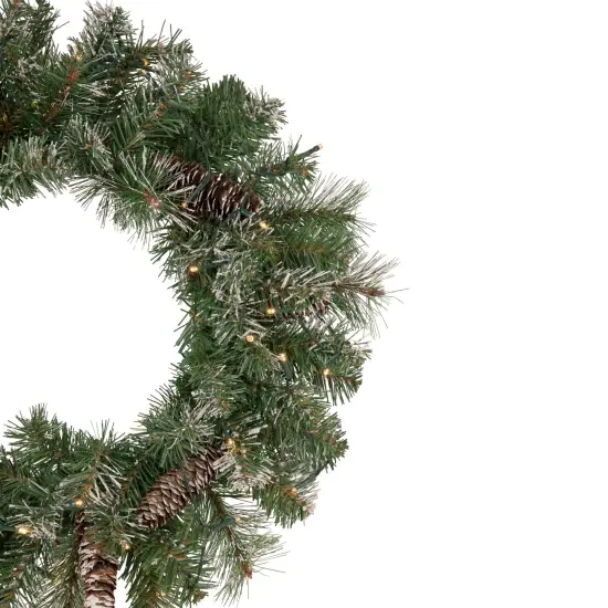 Northlight Pre-Lit Battery Operated Frosted Pine Christmas Wreath - 24" - Warm White LED Lights Green {5}