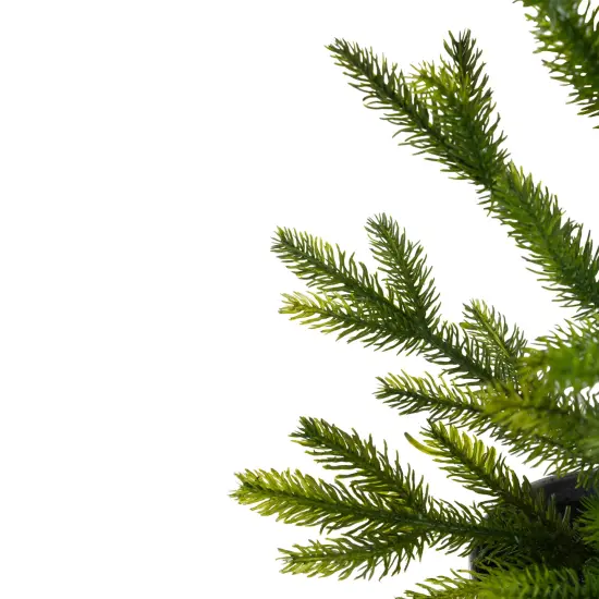 Northlight 2' Potted Pine Medium Artificial Christmas Tree &ndash; Unlit Green {5}