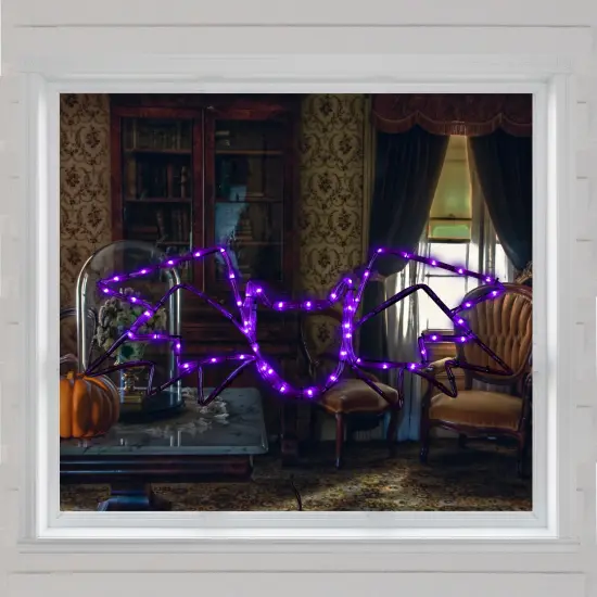 Northlight LED Lighted Bat 4-Function Halloween Window Decoration - 23.5" - Purple Lights {4}
