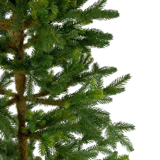 Northlight Real Touch™️Potted Noble Pine Slim Artificial Christmas Tree - 6' - Unlit Green {4}