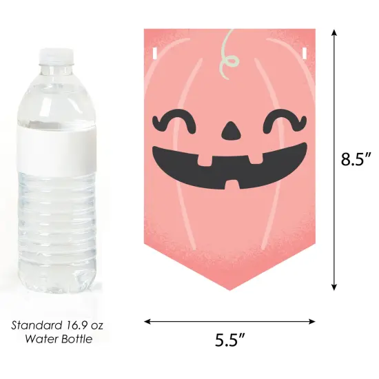 Big Dot of Happiness Pastel Halloween - Pink Pumpkin Party Bunting Banner - Party Decorations - Happy Halloween {3}