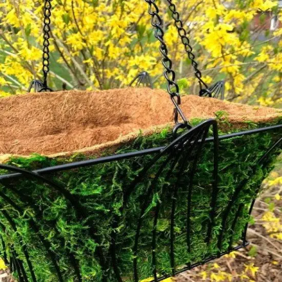 14" Metal and Coco Moss Hanging Basket - SQUARE {2}