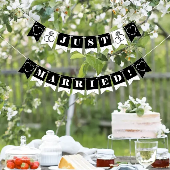 Big Dot of Happiness Mr. and Mrs. - Black and White Wedding or Bridal Shower Mini Pennant Banner - Just Married {7}