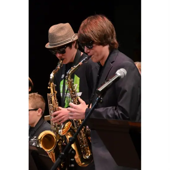 Rhode Island Novelty Blues Brothers Sunglasses, Black {2}