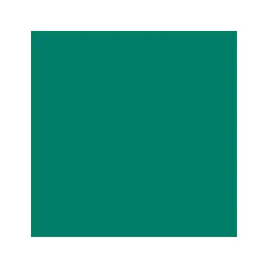 Cricut Joy Premium Permanent Smart Vinyl Kelly Green {2}