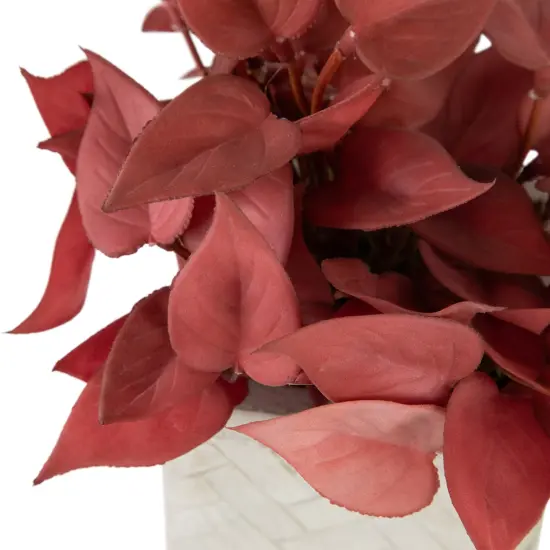 Northlight Real Touch&trade; Artificial Peperomia Plant in Square Lattice Designed Pot - 7" -Brick Red {5}