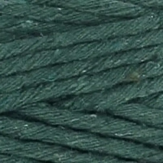 Hoooked Spesso Chunky Cotton Macrame Yarn {1}