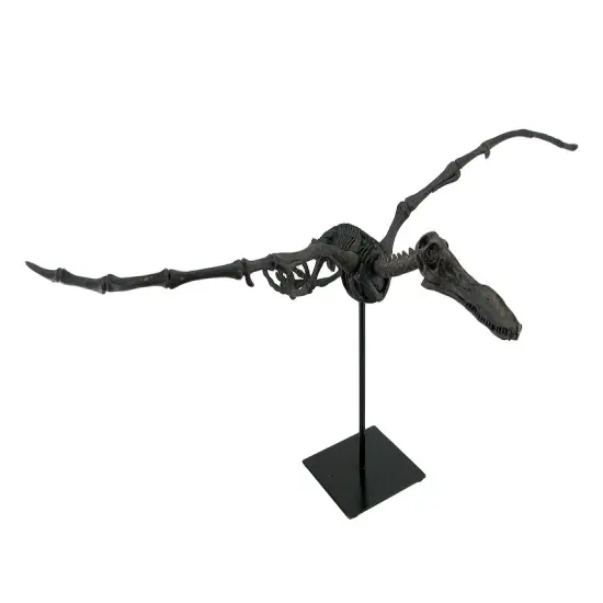 Museum Mounted Pterosaur Flying Dinosaur Fossil Replica Statue {1}