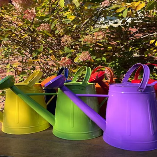 Large Watering Can - FUN COLORS Lilac {2}