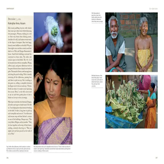 In Search of Wild Silk {6}