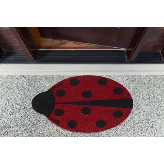 DII Artichoke Variegated Recycled Yarn Rug(Set of 2) {6}