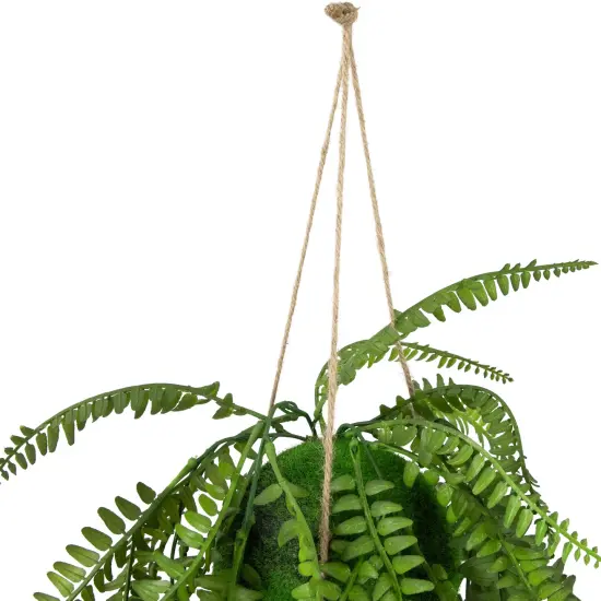 Northlight Artificial Fern Plant with Moss Ball and Hanging Jute Cord - 18" Green {5}