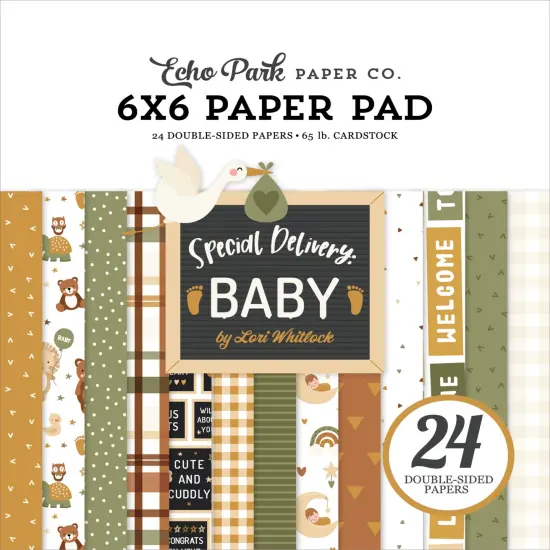 Echo Park Double-Sided Paper Pad 6"X6" 24/Pkg-Special Delivery Baby {1}