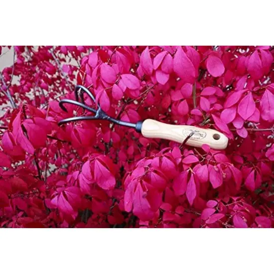 DeWit 3-Tine Cultivator, Aerates Soil with Boron Steel and Ash Wood Handle, 11.5 inches long {6}