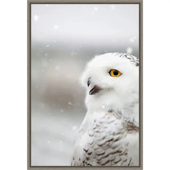 Snowy Owl in the Snow by Carrie Ann Grippo-pike Canvas Art Framed {1}