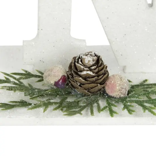 Northlight Noel and Snowflake Christmas Sign with Pinecone Holly - 10.25" - White and Silver {7}