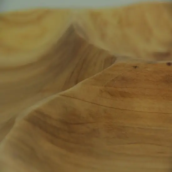 Natural Fir Tree Root 4-Section Snack Serving Tray {4}