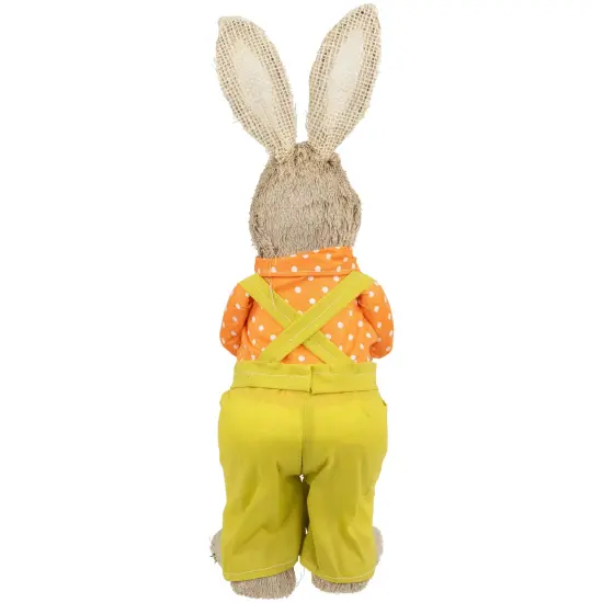 Northlight Standing Boy Rabbit with Carrot Easter Figure - 16" - Orange and Green Beige {7}