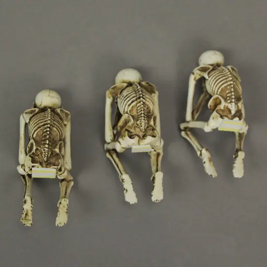 Resin Hear See Speak No Evil Skeleton Shelf Sitter Figurines Home Decor Statues {4}