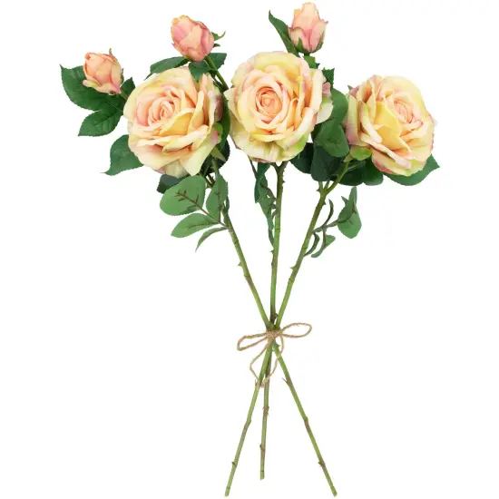 Northlight Real Touch&trade; Cream and Pink Artificial Rose Stems, Set of 6 - 26" Ivory {5}