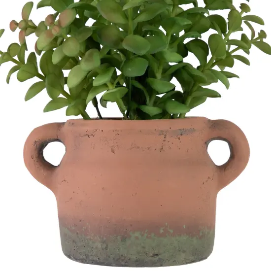 Northlight Real Touch&trade; Artificial Privet Plant in Vintage Milk Can Style Earthenware Pot - 14" Green {4}