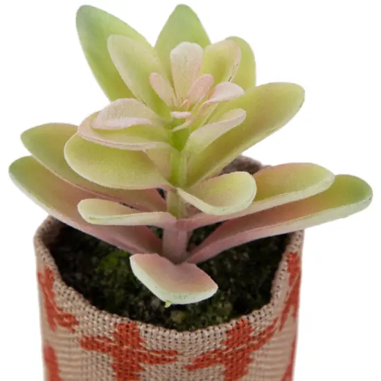 Northlight Artificial Pastel Succulent in Burlap Bag - 4.75" Multi {5}