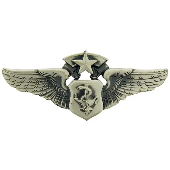 EagleEmblems P16543 Wing-USAF,FLT.Nurse,MAST. (2'') {1}