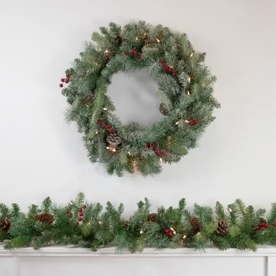 Northlight Pre-Lit Snowy Waterloo Pine Artificial Christmas Wreath - 24-Inch, Clear Lights Green {3}