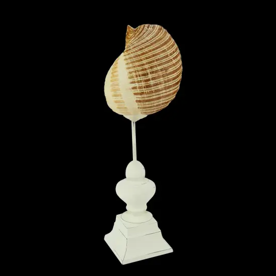 Gallerie II 13.75" Beach Inspired Brown and Cream Seaside Seashell on Pedestal Finial Decoration {1}