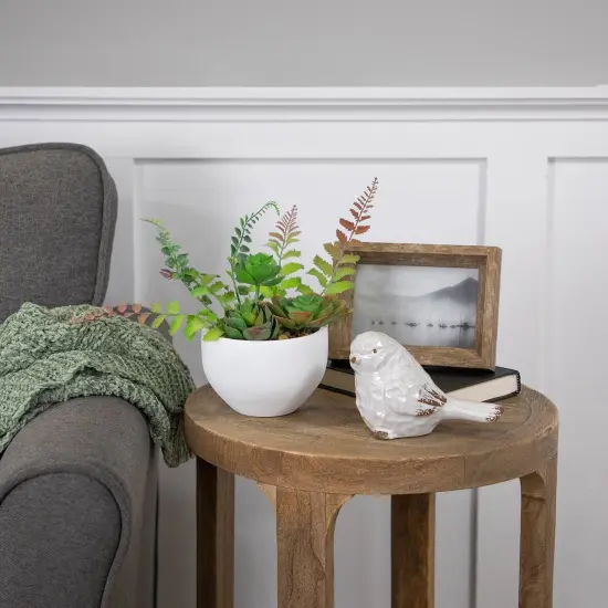 Northlight Potted Artificial Mixed Succulent Fern Plant - 11.5" Green {3}