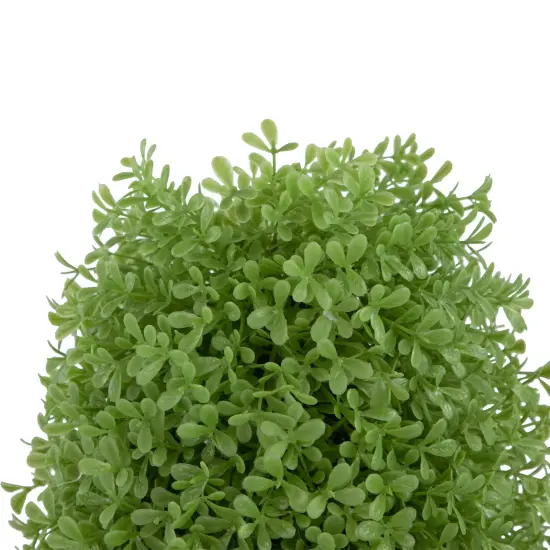 Northlight Artificial Boxwood Cone Topiary Tree with Round Pot - 15" - Unlit Green {4}
