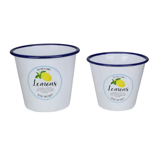Raz Set of 2 Fresh from the Garden Lemon Metal Buckets 6.75" White {1}