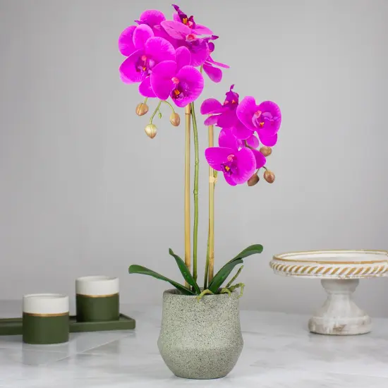 Northlight Real Touch™️ Purple Artificial Orchid Plant with a Gray Stone Pot - 14" {3}