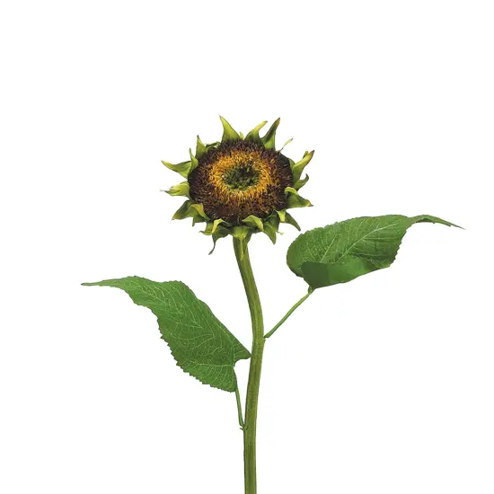 Allstate 28" Brown Sunflower Artificial Spray {5}