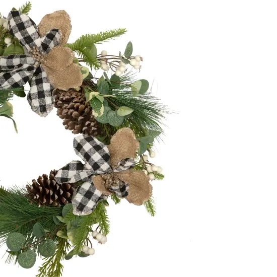 Northlight Magnolia and Frosted Pine Cones Artificial Christmas Wreath -22-Inch, Unlit Green {5}