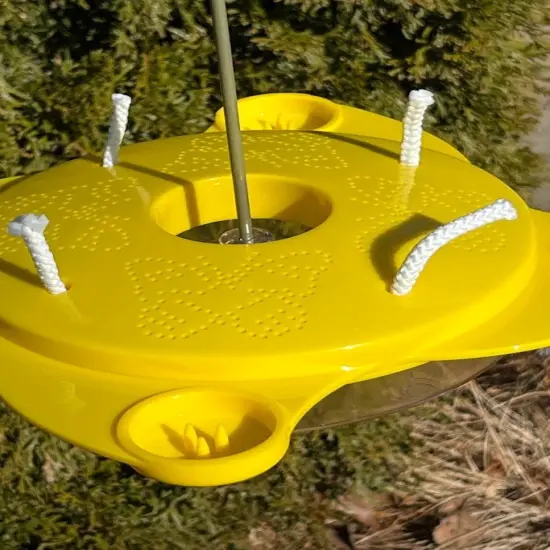 Butterfly Feeder {5}