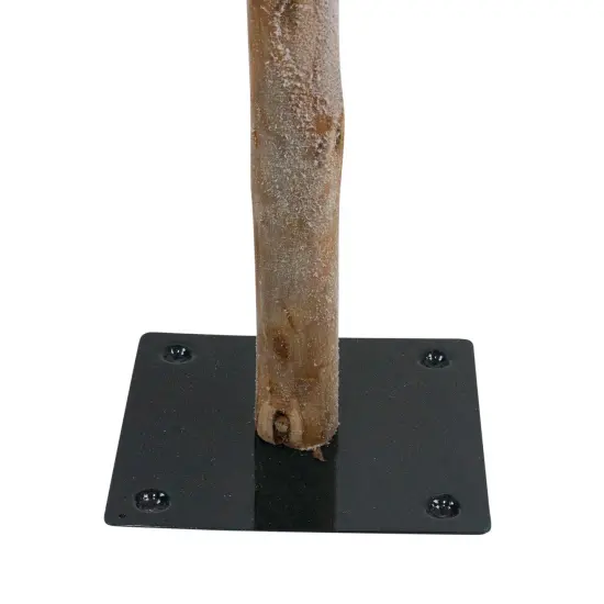 Northlight Pre-Lit Slim Flocked Alpine Artificial Christmas Trees - 5' - Multi Lights - Set of 3 Green {7}