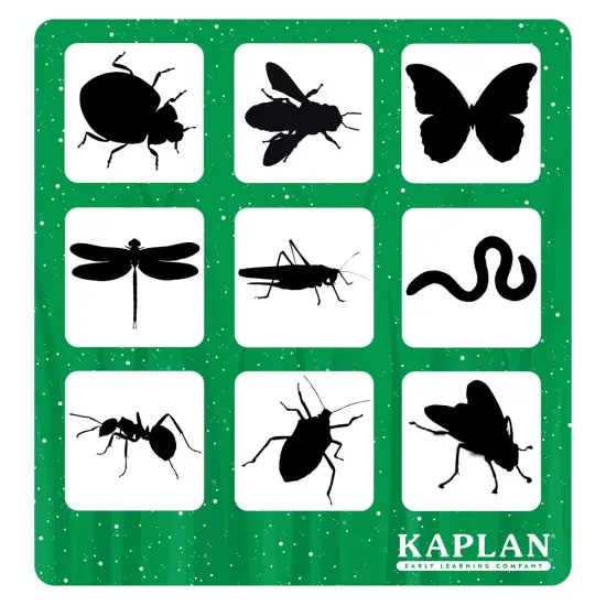 Kaplan Early Learning Company Shadow Matching and Memory Game {6}