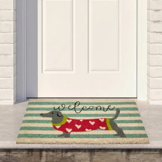 Northlight Natural Coir Rectangular Dachshund Dog Welcome Doormat 18" x 30" Blue {3}
