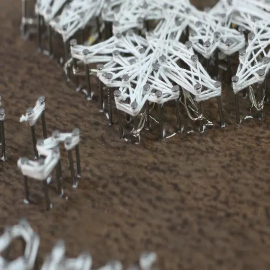 Creative Kit/String Art Snowflake {6}