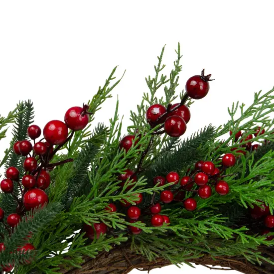 Northlight Mixed Pine and Berries Artificial Christmas Wreath - 26 inch, Unlit Green {5}